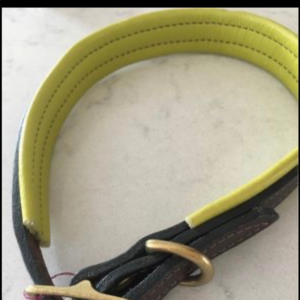 Dog collars - Picture 1 of 4